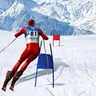 Slalom Ski Simulator