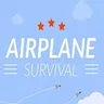 Airplane Survival